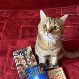 Telegram profile photo for Котенок Рон Р Плюшевски и друзья