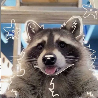 Telegram profile photo for °•~капибарка плетёт ~•°