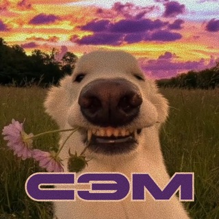 Telegram profile photo for сэмммммм