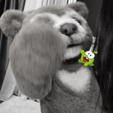 Telegram profile photo for katana