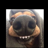 Telegram profile photo for Anoptional theories
