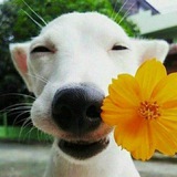 Telegram profile photo for Отдушина❤️😘🤗🌸☀️