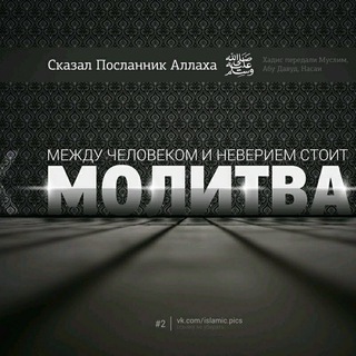 Telegram profile photo for Ахлюс-Сунна уаль-Джама'а