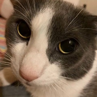 Telegram profile photo for фрусь под полом
