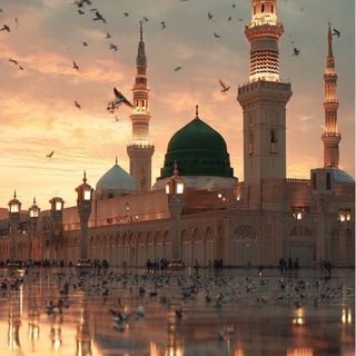 Telegram profile photo for حيدر الكندي