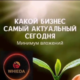 Telegram group profile photo for ☘️ ЗОЖ💰ПРОЦВЕТАНИЕ📈💵