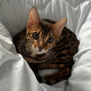 Telegram profile photo for Сердца за углом ❤️