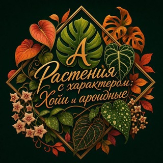 Telegram profile photo for 🪴🌿Растения с характером:Хойи и Ароидные🪴🌿