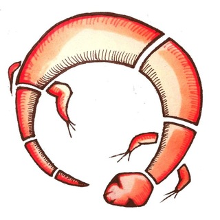 Telegram profile photo for Libri e Racconti di Vulcano