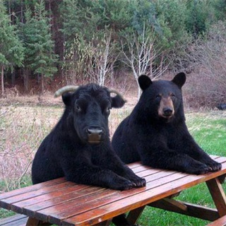 Telegram group profile photo for My trading club Chat