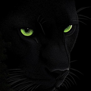 Telegram profile photo for ππππππ