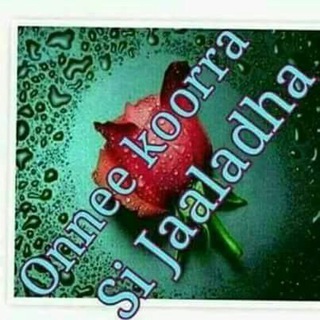 Telegram profile photo for MADDA JAALALA
