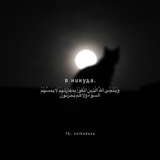 Telegram profile photo for в никуда