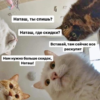 Telegram profile photo for 🔍Скидки / Находки