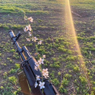 Telegram profile photo for gun directory