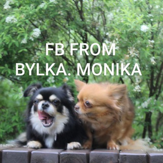 Telegram profile photo for Фотобатлы от Булки/Моники