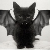 Telegram profile photo for алискс️🦇
