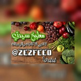Telegram profile photo for مہۣۙـۣۛطہـۣۙـبخہڪۣۛ⠀❥ || سہـۣۙـيۣۛـہۣۙدتـۣۙـۣۙہـيْ