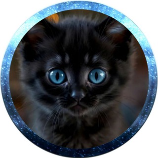 Telegram profile photo for خدمات ماورایی (فال، انرژی درمانی و..)