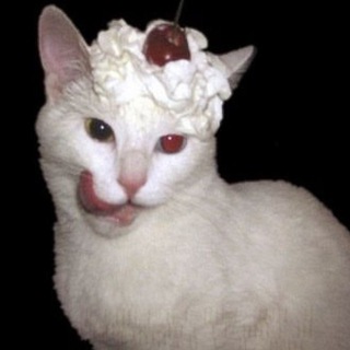 Telegram profile photo for янгарден