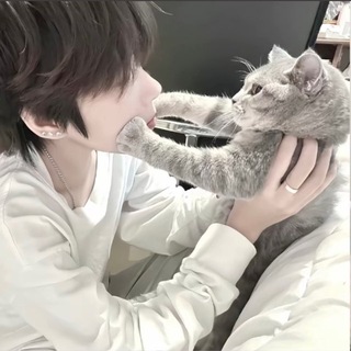 Telegram profile photo for 南北源头查档通知频道