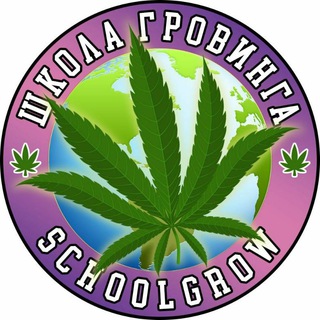 Telegram profile photo for Школа Гроверства 2.0👨🎓👨🌾