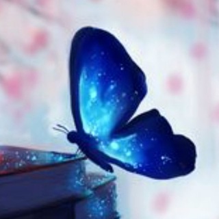 Telegram group profile photo for Mimoza Czat
