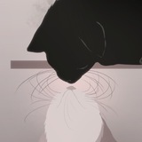 Telegram profile photo for rai is here