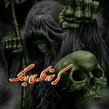 Telegram profile photo for کریتور ملکه رینگ