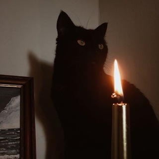 Telegram profile photo for Moon Tarot