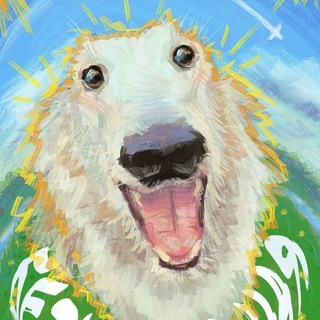 Telegram profile photo for Mevi Tries To Try