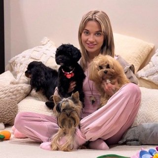 Telegram profile photo for Домашний отель для собак EVA DOGSHEART Зоопсихология