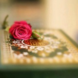 Telegram profile photo for القـرآن نبـض قلبـ💘ـي