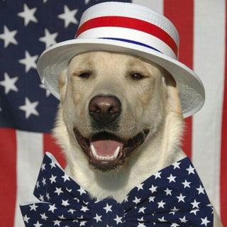 Telegram profile photo for Amerkanovskoe