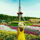 Telegram profile photo for لیست کانالها و گروهها