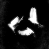 Telegram profile photo for ₊˚⊹ᰔ 𝑹𝑶𝑨𝑫 𝑩𝑹𝑶𝑻𝑯𝑬𝑹