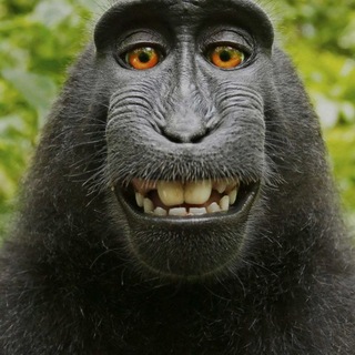 Telegram profile photo for Game
