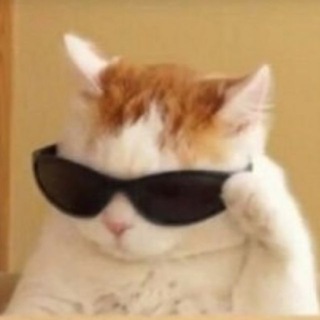 Telegram profile photo for Мемница: мемы и премудрости