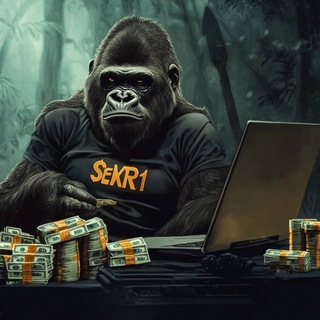 Telegram profile photo for Sekr1
