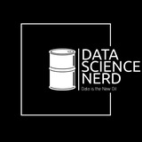 Telegram profile photo for Data Science Nerd