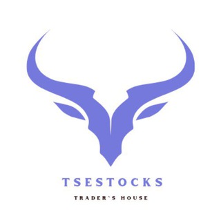 Telegram group profile photo for WE TSE