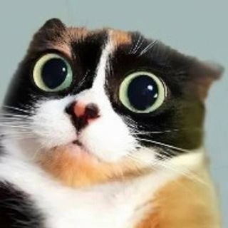 Telegram profile photo for Переходник к вирусам
