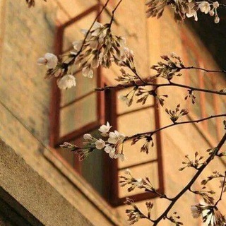 Telegram profile photo for رِفـقْ ❤🦋..!