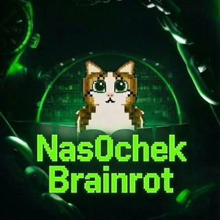 Telegram profile photo for 𝐍𝐚𝐬𝟎𝐜𝐡𝐞𝐤 𝐁𝐫𝐚𝐢𝐧𝐫𝐨𝐭