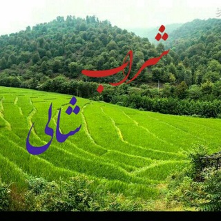 Telegram profile photo for شراب شالی