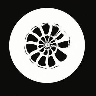 Telegram profile photo for PaleoFlock™ × Community