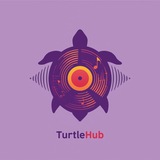 Telegram profile photo for Саундшторм Turtle Hub