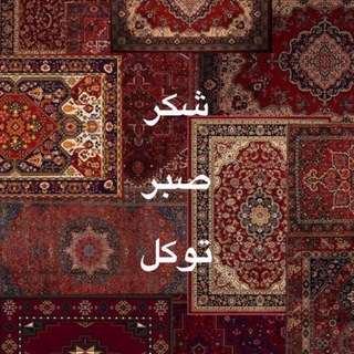 Telegram profile photo for هَرَّةُ قَلْبِي