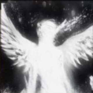 Telegram profile photo for Wilysh_52在/КОНКУРСЫ