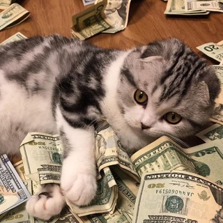 Telegram profile photo for 𝕄𝕆ℕ𝔼𝕐 𝔽𝕆ℝ ℂ𝔸𝕋𝕊 Заработок на отзывах